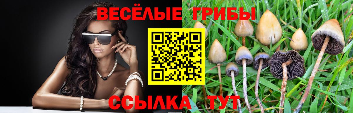 Псилоцибиновые грибы Magic Shrooms  Вход с VPN  Псилоцибиновые грибы прущие грибы  Ахтубинск 