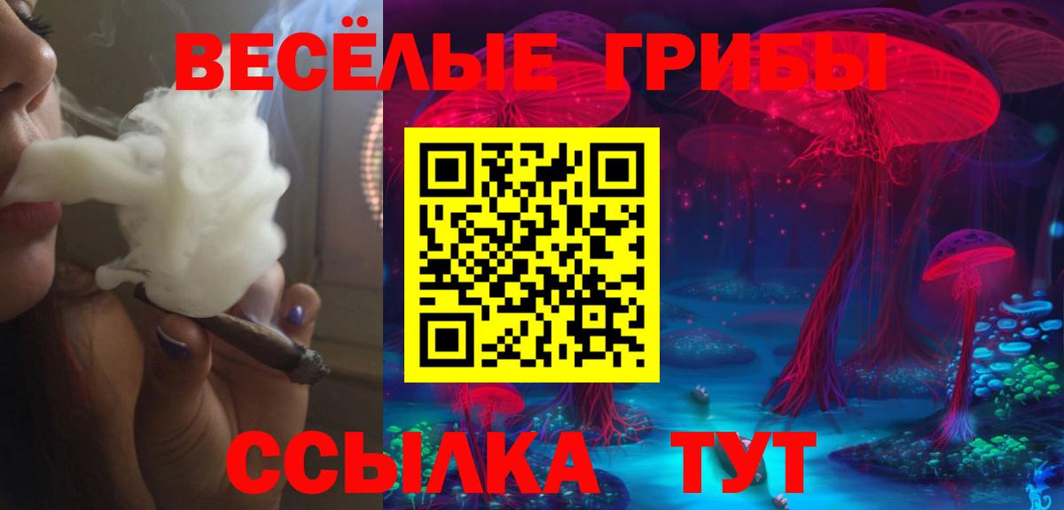 Галлюциногенные грибы мицелий Ахтубинск