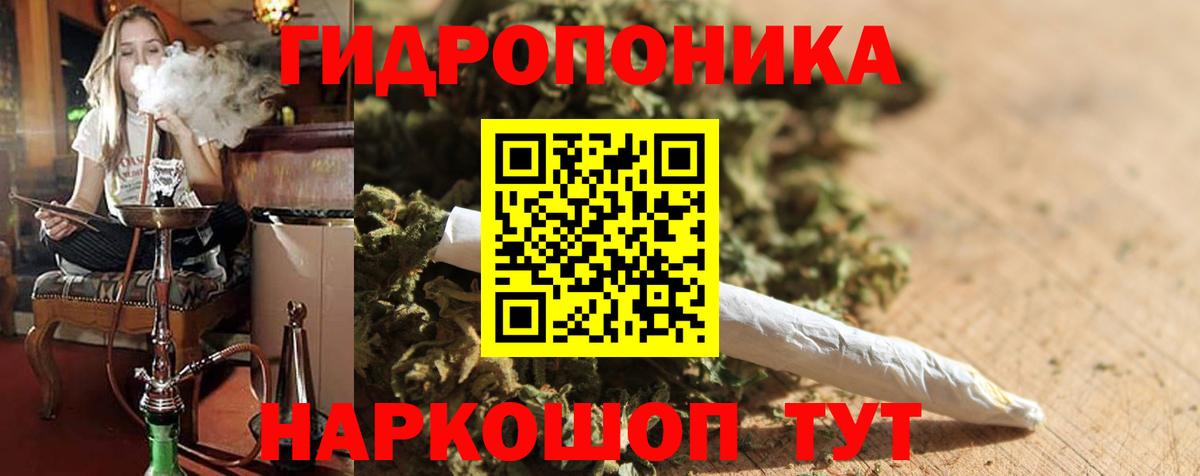 Каннабис конопля Ахтубинск